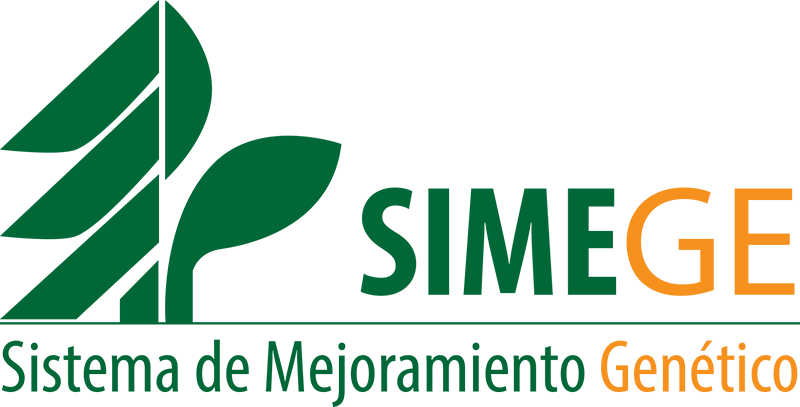 SIMEGE